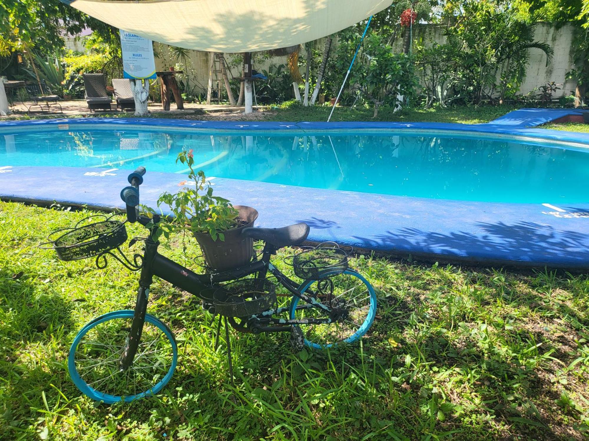 Cabanas Colibri Bacalar Dış mekan fotoğraf